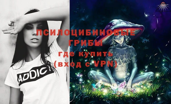 хмурый Вязьма