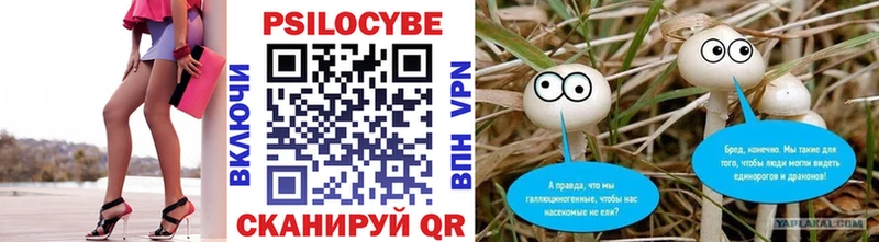 Галлюциногенные грибы Psilocybe Отрадное